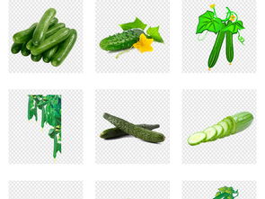 新鮮有機蔬菜 黃瓜海報詳情頁素材及模板一站式下載指南