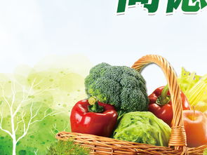 2018年全國食品安全宣傳周活動展板設(shè)計素材指南 從PSD模板到蔬菜零售專題展板